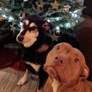 Meet your Posher, Kathryn